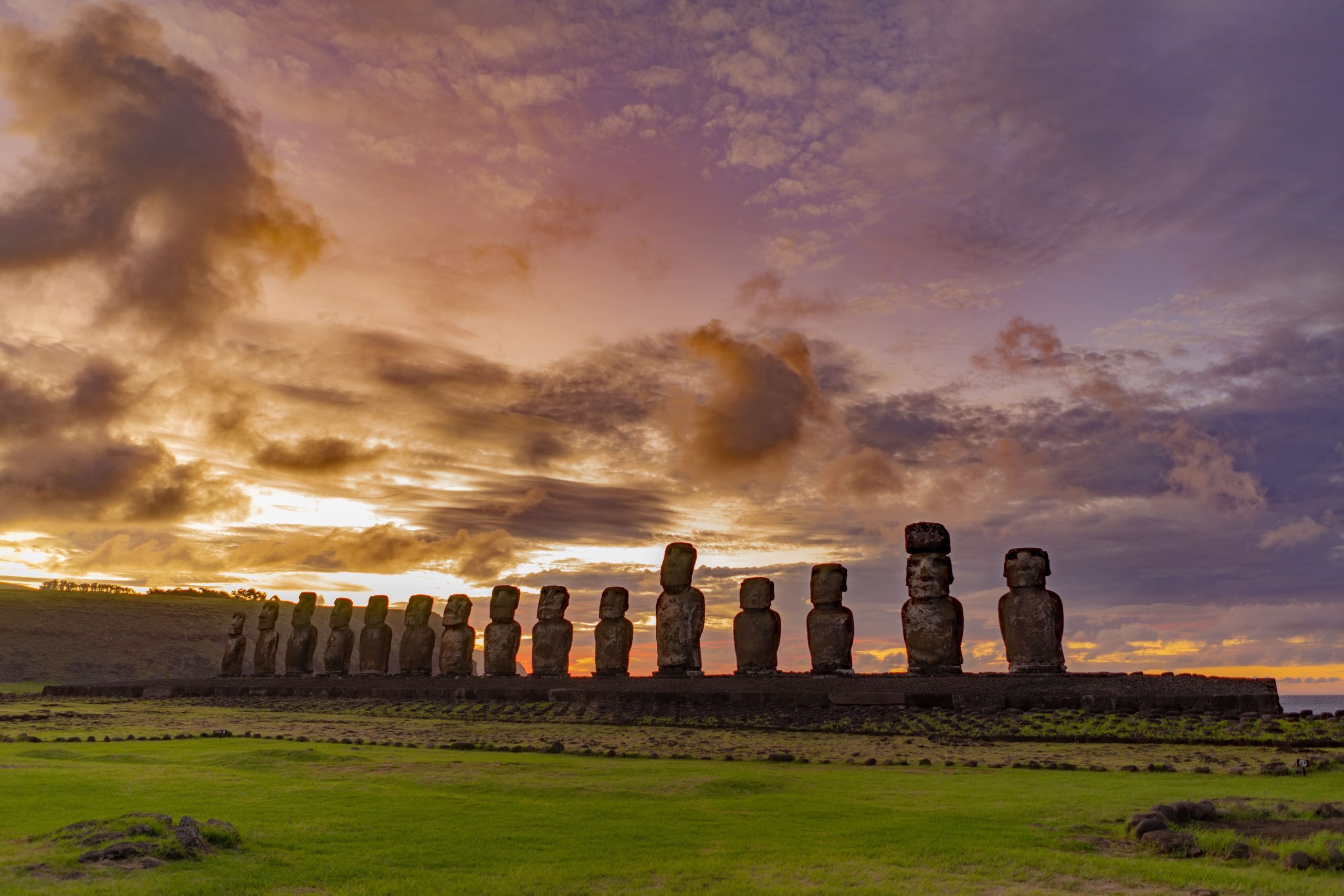 shutterstock_2477675077 (1)